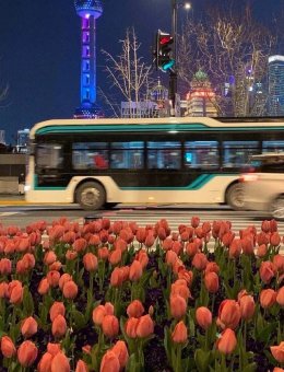 公交车